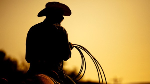 Read Cowboy Love Stories on the Page and Screen