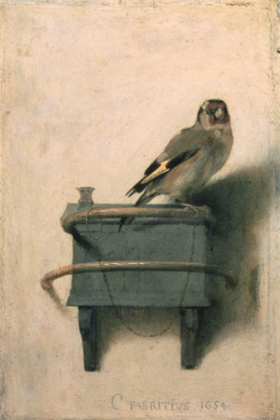 Goldfinch