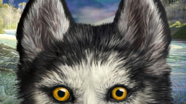 Read Doggone Good: Survivors: Tales from the Packs Offers Insight & Intrigue