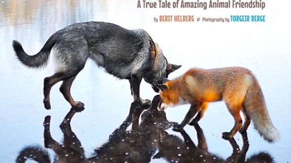 Read 6 Books Starring Unlikely Animal Friends