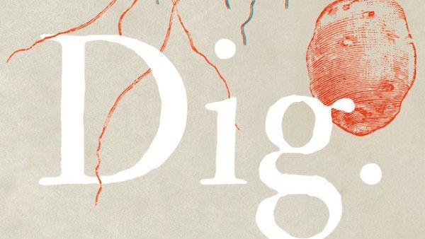 Read A.S. King’s Dig, and More of the Best Surrealist YA