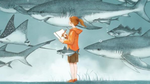 Read By the Seaside: 5 Middle Grade Books Set on or Near Cape Cod