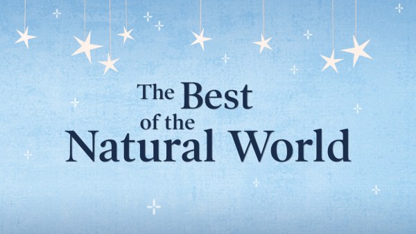 Read The Best of the Natural World